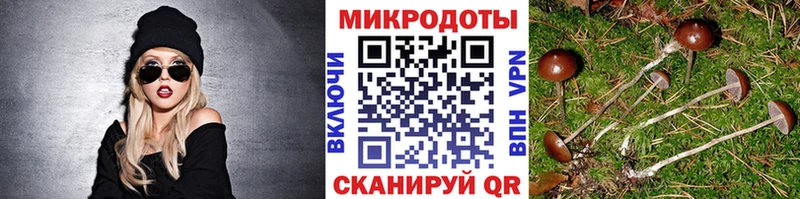 Галлюциногенные грибы GOLDEN TEACHER Мирный