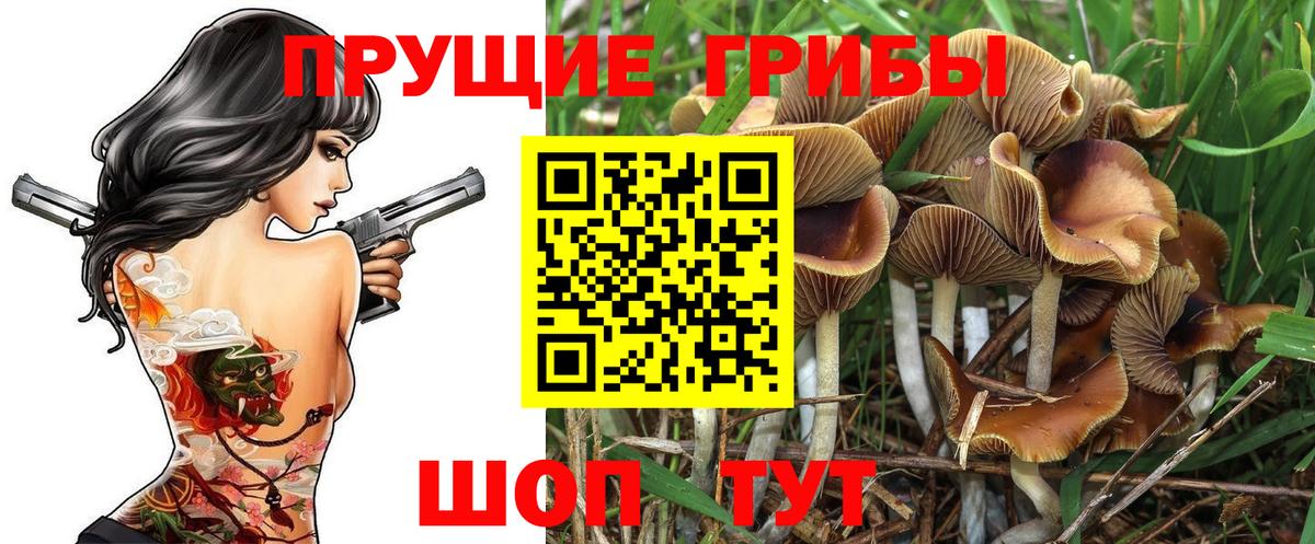 Мирный  Псилоцибиновые грибы мицелий  Вход с VPN  Псилоцибиновые грибы GOLDEN TEACHER 