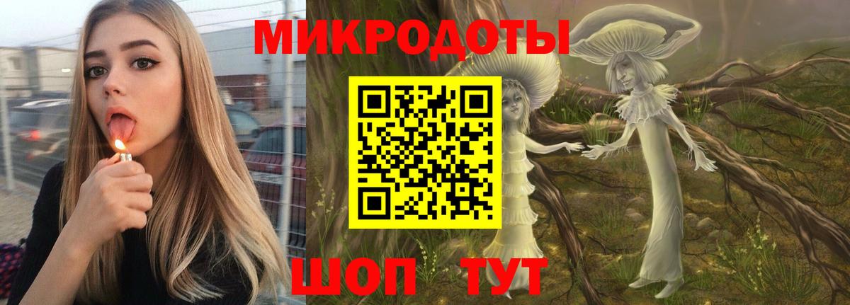 Псилоцибиновые грибы Psilocybe Мирный